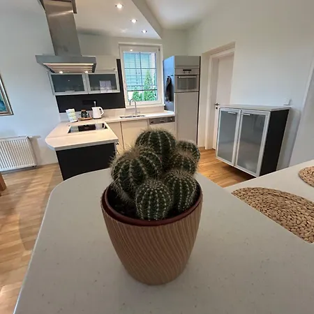 Diamondvilla, 4 Bedroom Apartment, Garden & Apartment Prague