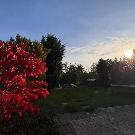Diamondvilla, 4 Bedroom Apartment, Garden & Apartment *